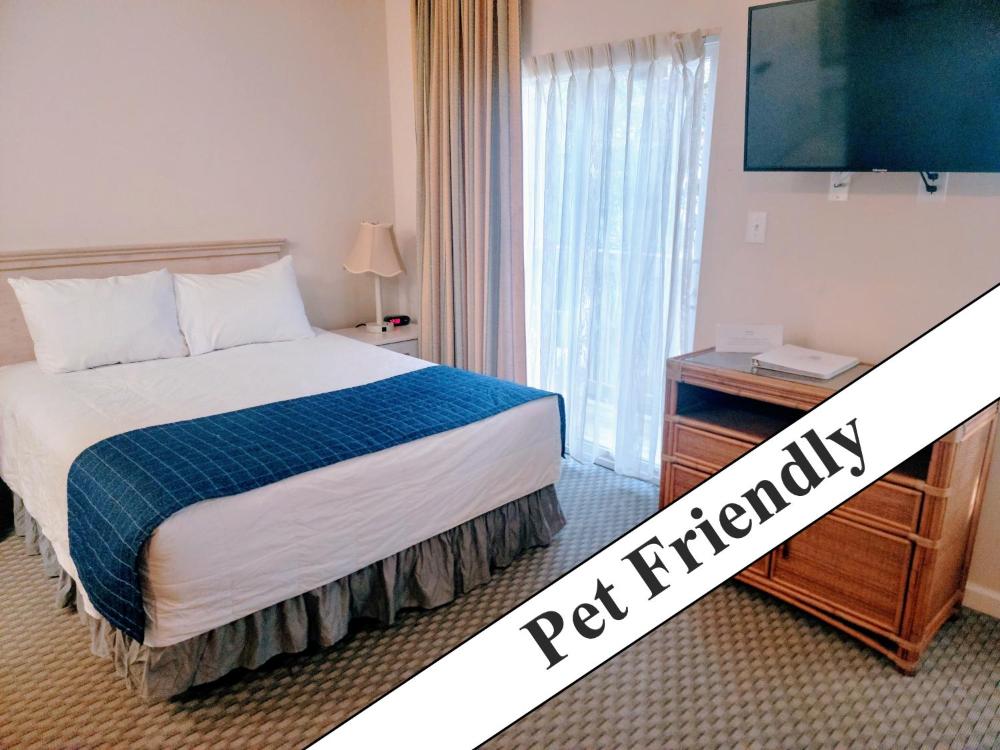 Deluxe Queen Suite interior